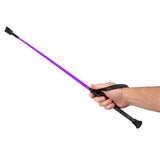 Pony Club Whip 70cm