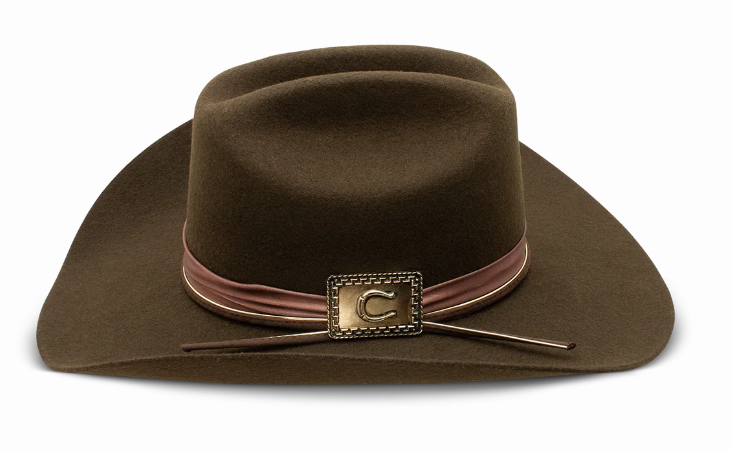 Charlie 1 Horse x Lainey Wilson Songbird Western Hat