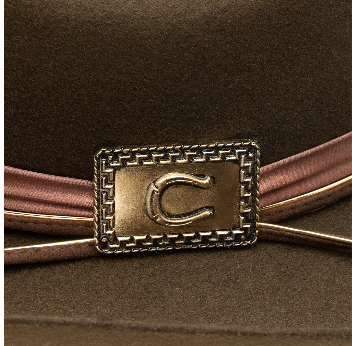 Charlie 1 Horse x Lainey Wilson Songbird Western Hat