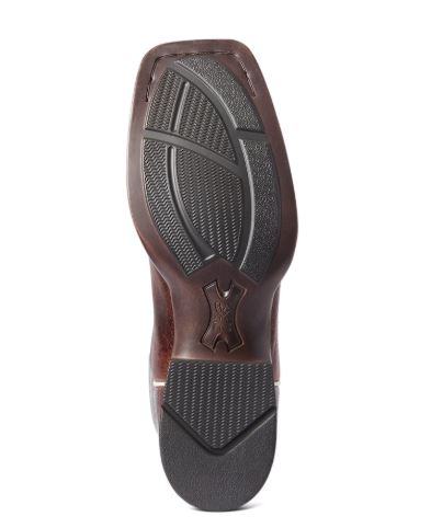 Ariat Women's Primera Stretch Fit Barrel Brown/Antique Teal