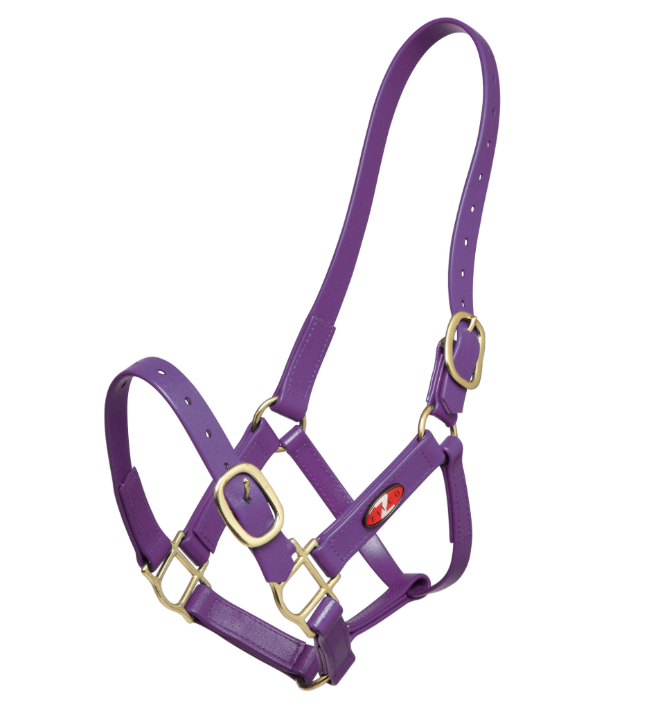 Zilco 25mm PN Halter